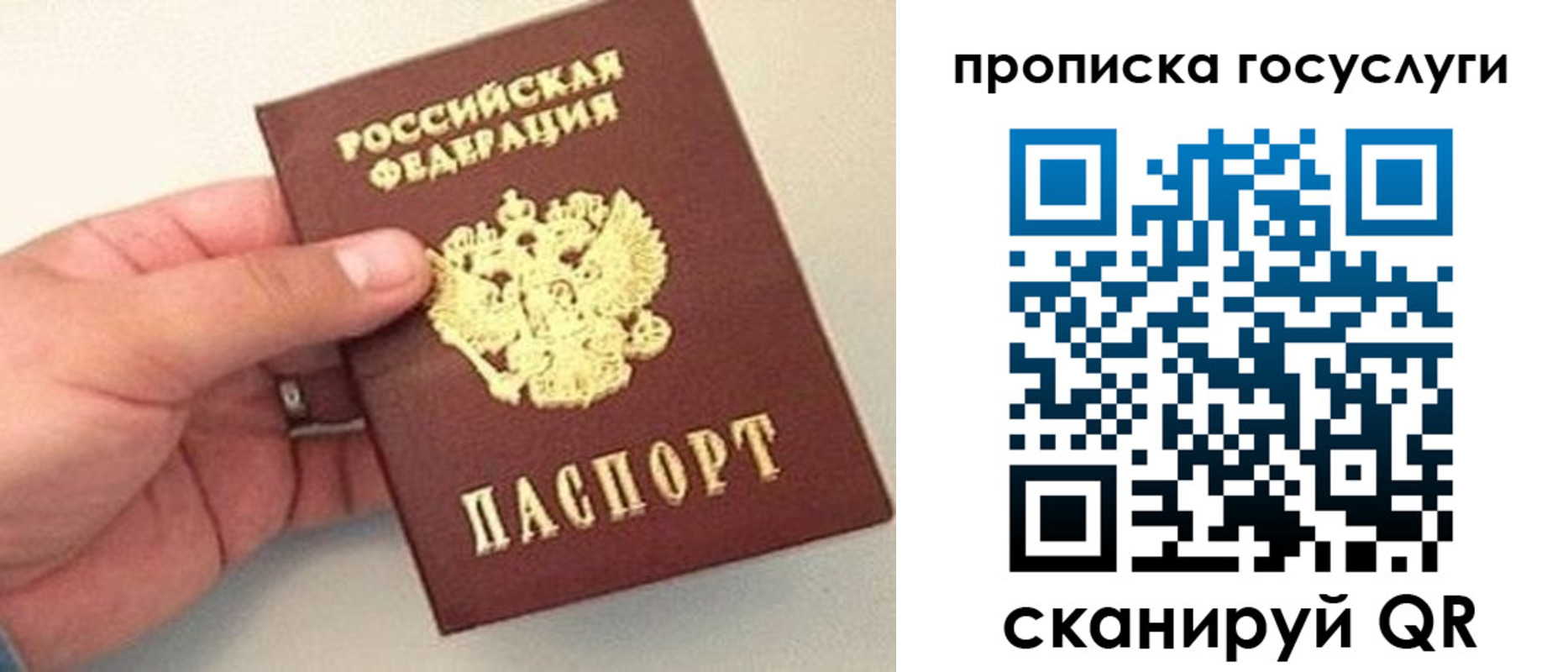где прописаться в Зуевке